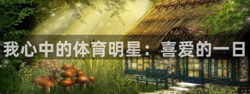 b体育必一运动官网：我心中的体育明星：喜爱的一日