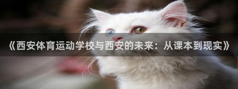 必一运动体育官网：《西安体育运动学校与西安的未来：从课本到现实》