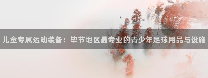 必一运动bsport体育：儿童专属运动装备：毕节地区最专业的青少年足球用品与设施