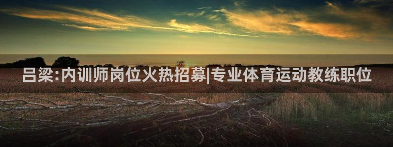 bsports必一运动：吕梁:内训师岗位火热招募|专业体育运动教练职位