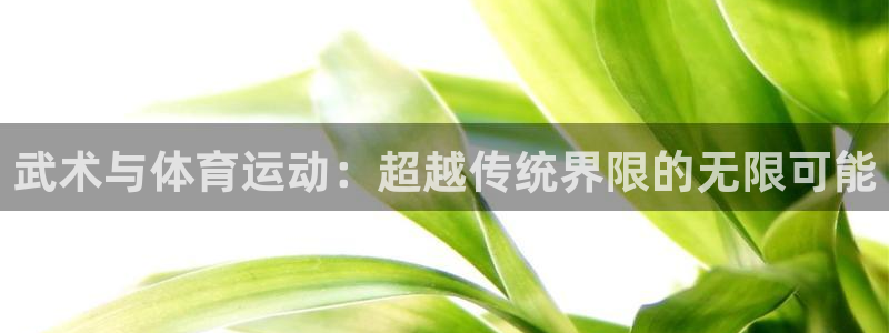 必一运动app：武术与体育运动：超越传统界限的无限可能