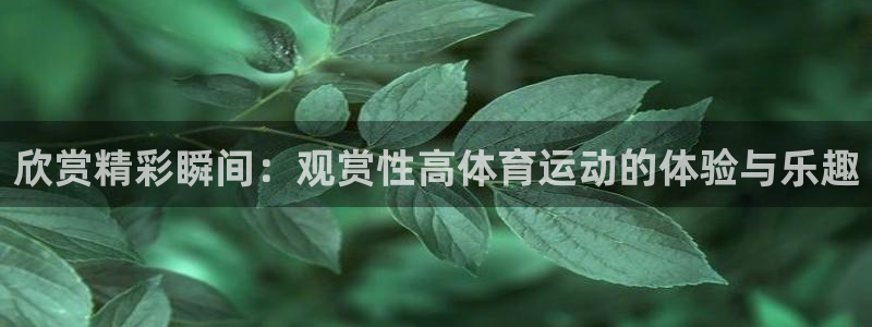 bsports官网 必一运动：欣赏精彩瞬间：观赏性高体育运动的体验与乐趣
