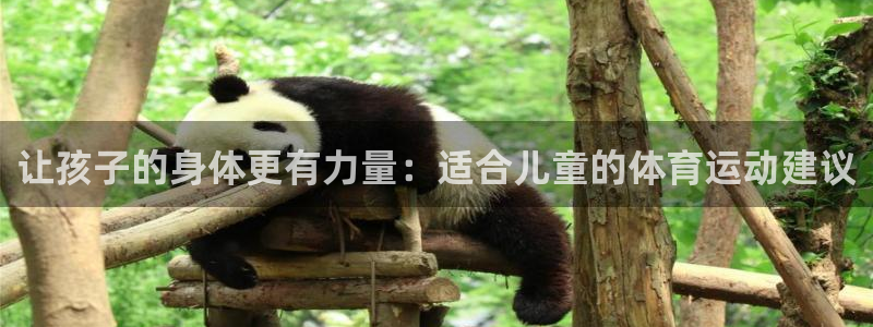 必一运动：让孩子的身体更有力量：适合儿童的体育运动建议